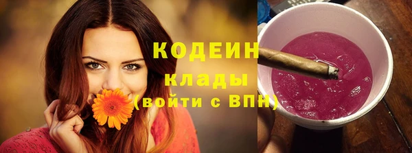 эйфоретик Арсеньев