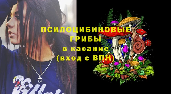 эйфоретик Арсеньев