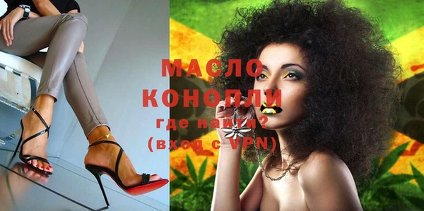 индика Ростов