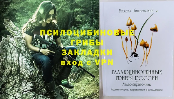 гидра Аркадак