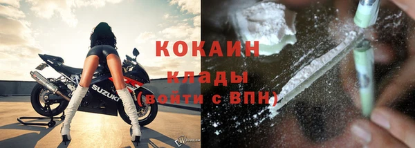 гидра Аркадак