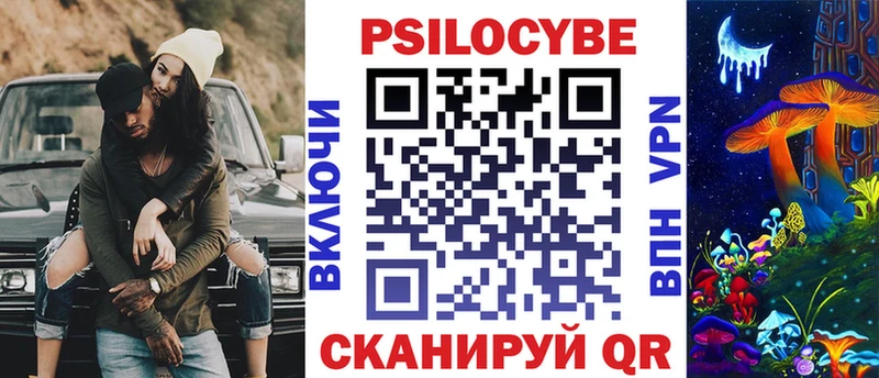 Галлюциногенные грибы Psilocybine cubensis Петровск-Забайкальский